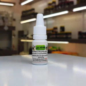 بنفشه پایه زیتون